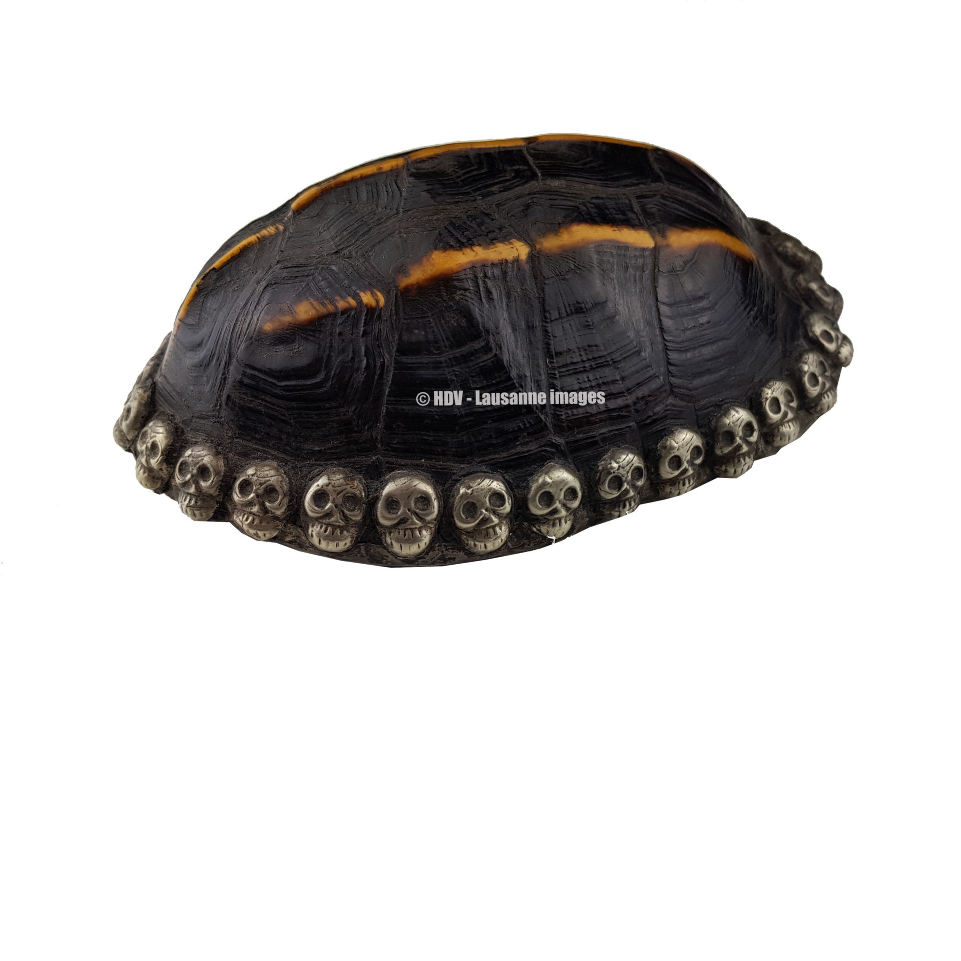 TORTUE TIBET 1930 Turtle shell surrounded by silver skulls, the interior is also&hellip;