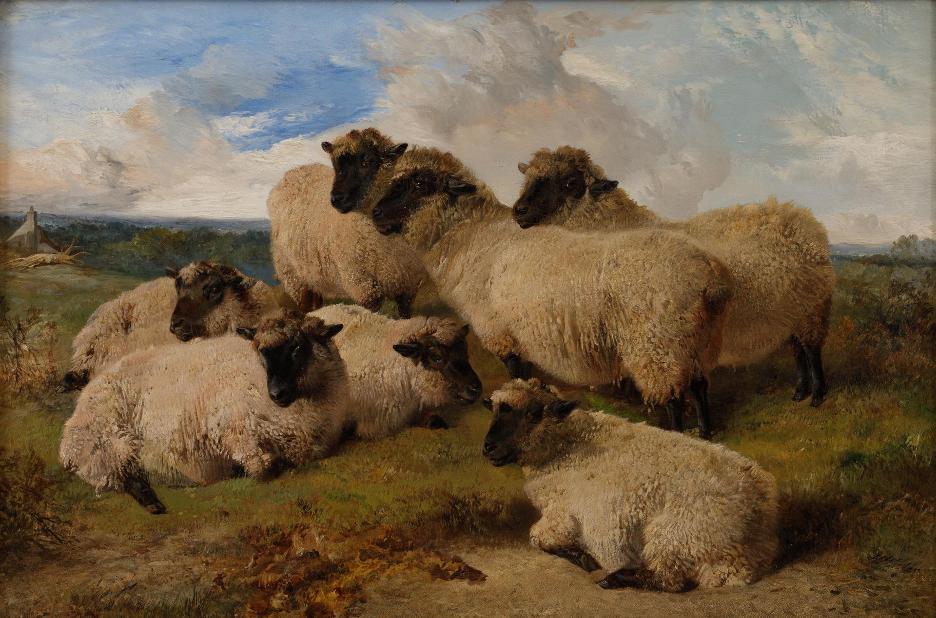 ONLEESBAAR / ILLISIBLE 2/2 XIX Engeland/ Angleterre Shetland sheep. 


Canvas. I&hellip;