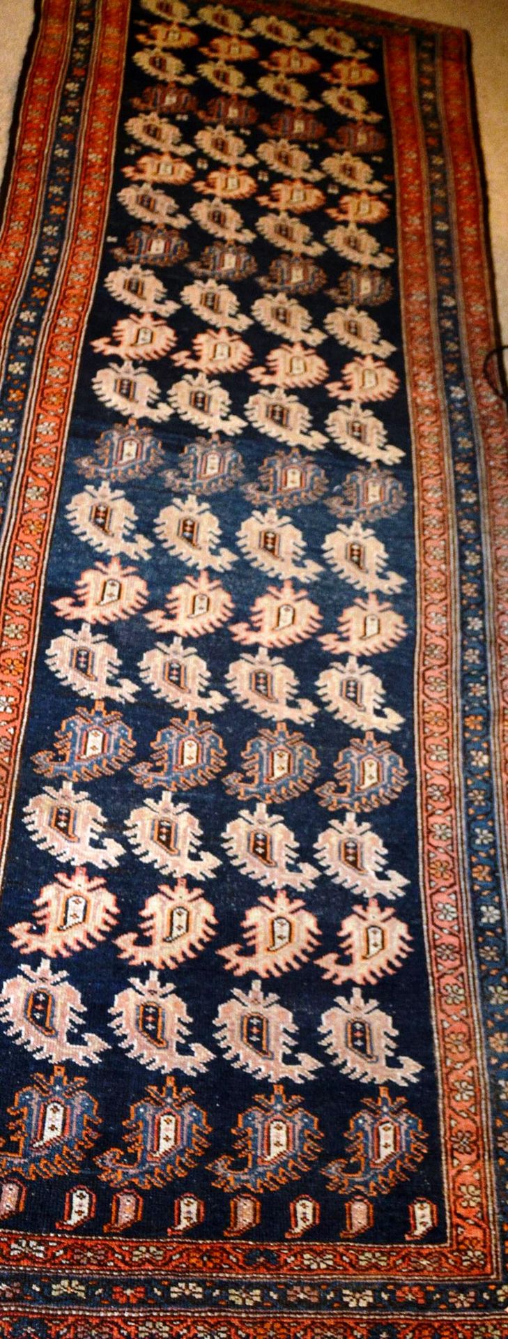 Null Tapis Kurde (chaîne et trame en coton, velours en laine),

Nord-ouest de la&hellip;