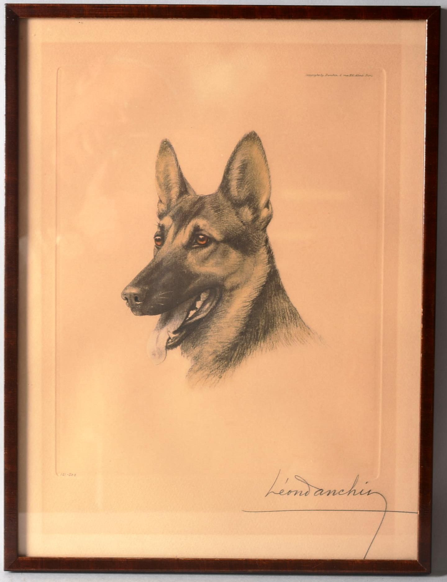 Léon DANCHIN (1887-1938) 莱昂-丹辛 (1887-1938)

"一只德国牧羊犬的头"。

石版画右下方有铅笔签名。编号为121/500&hellip;