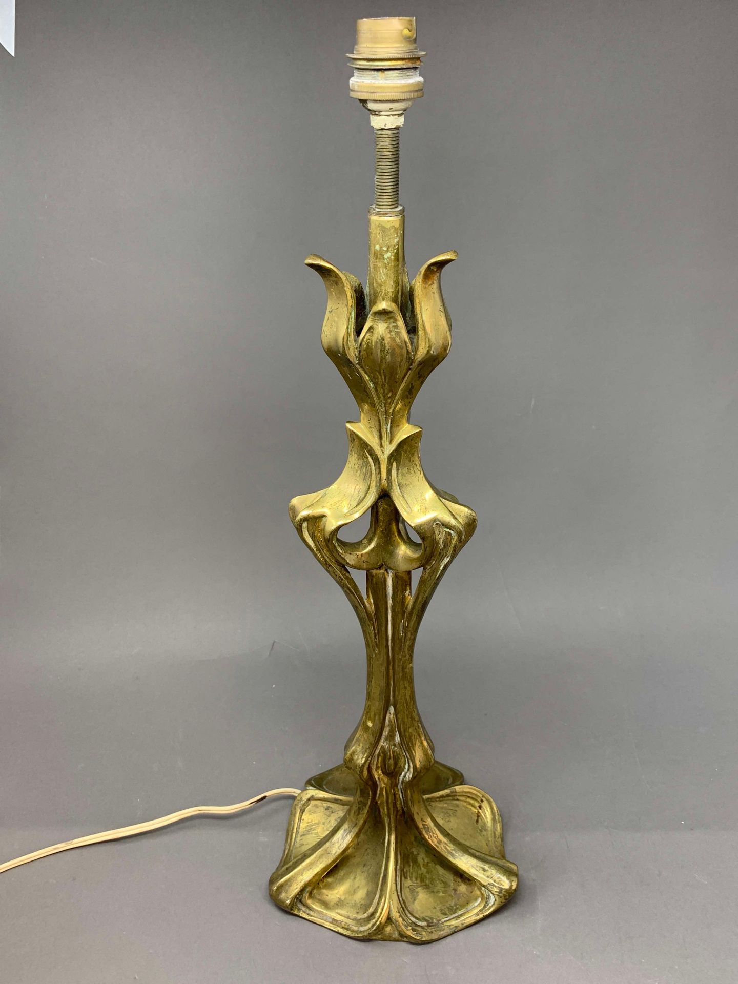 Null 
Travail Art Nouveau




Pied de lampe en bronze doré à décor végétal




I&hellip;