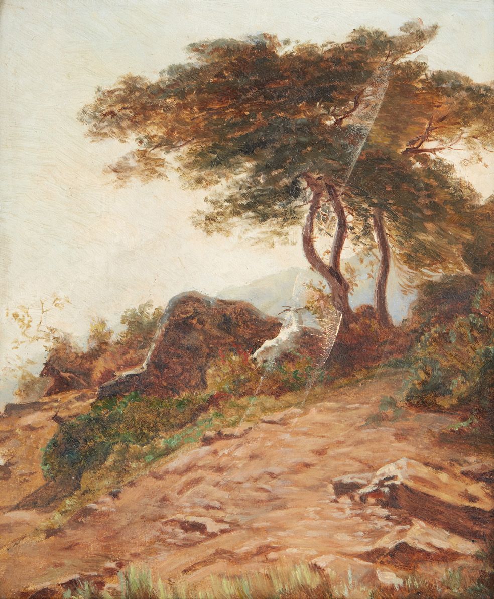Ecole ITALIENNE vers 1840 Rocas y árboles
Cartón
29 x 24,5 cm