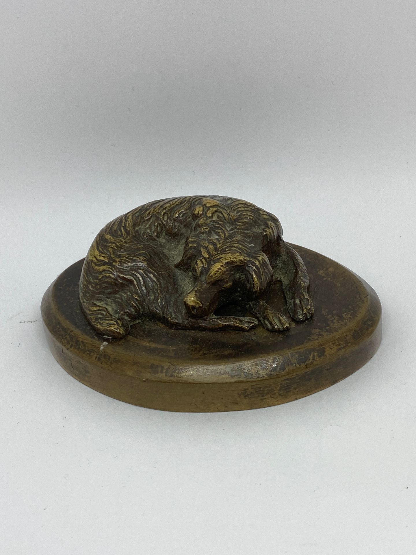 Null 棕色铜锈的小青铜主题，躺着的狗

20世纪初

高：3.5 - 长：9.5厘米 - 宽：7厘米