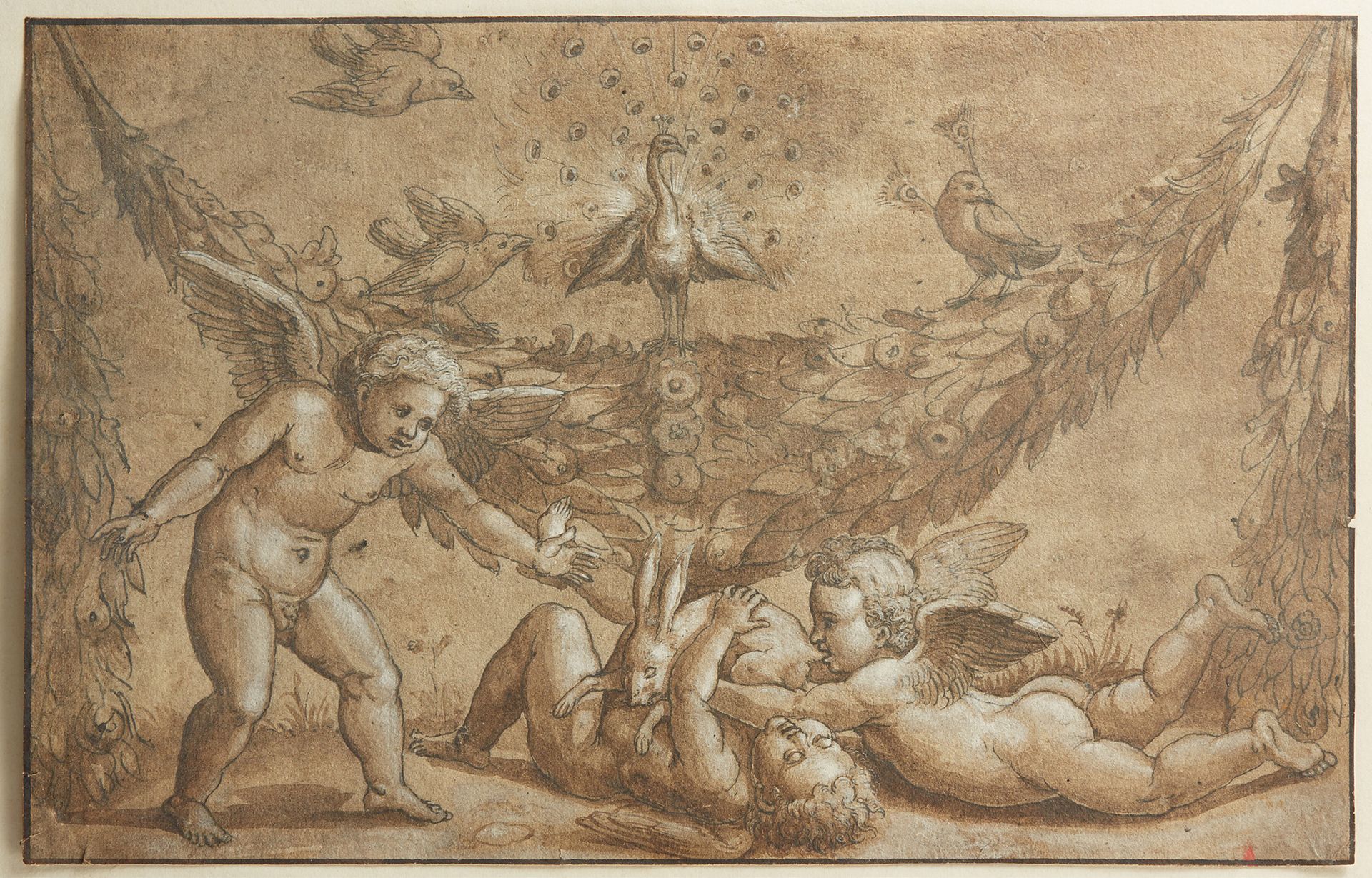 Attribué à Lorenzo PENNI (actif au XVIe siècle) Allégorie aux putti Plume et enc&hellip;