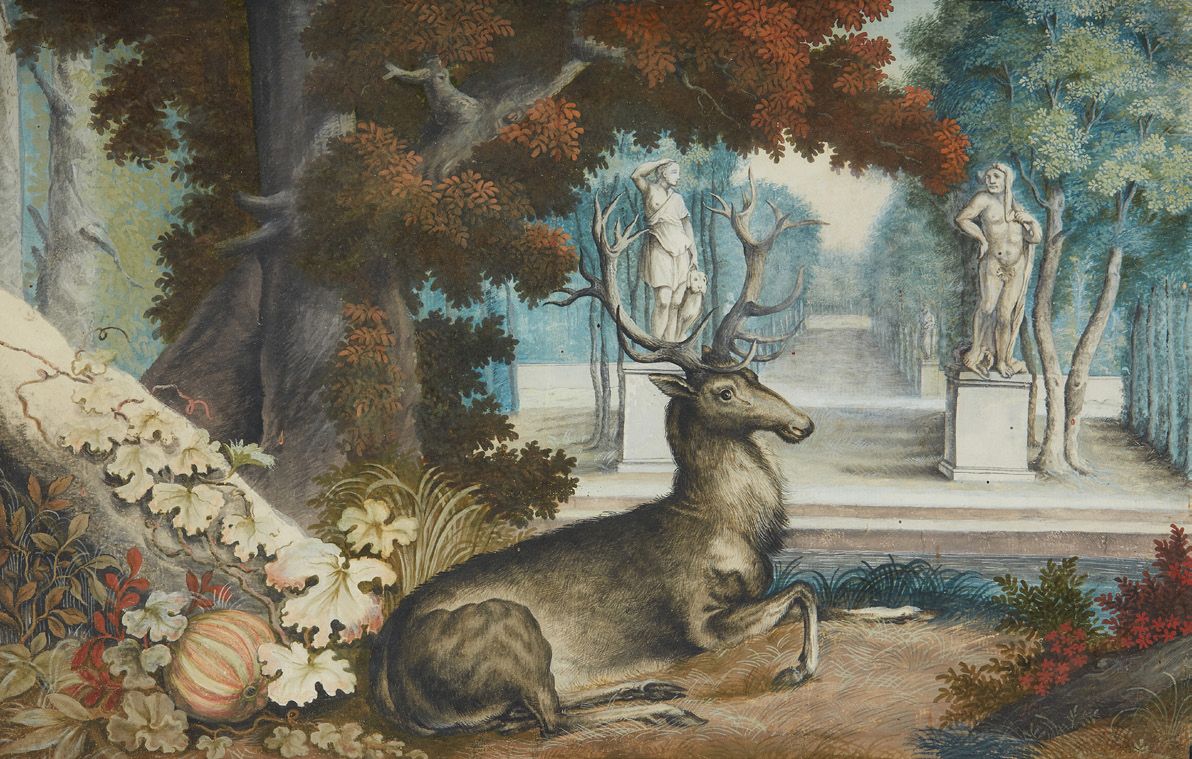 École FRANÇAISE du XVIIIe siècle 躺着的小鹿。
绘画，水彩画。
26,5 x 40 cm