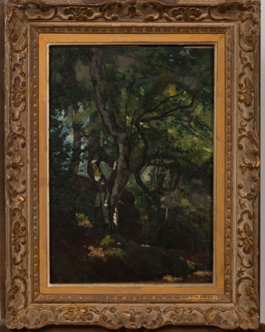 Null French school of the XXth century.

The trees.

Oil on canvas.

H_54 cm L_4&hellip;
