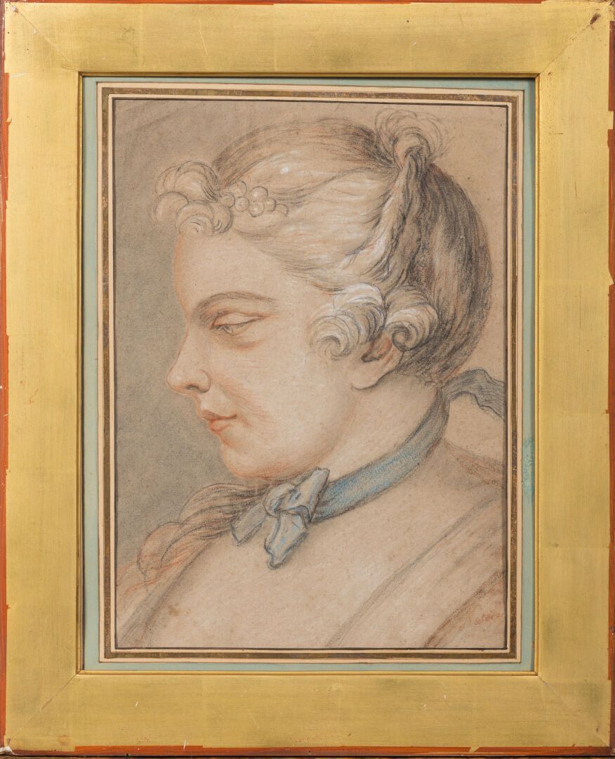 Null 18世纪的法国学校。

一个女人的侧面肖像。

用三支铅笔和粉笔画画。

下方有注释 "Natoire"。

高_33厘米，宽_23.5厘米，视线所及&hellip;
