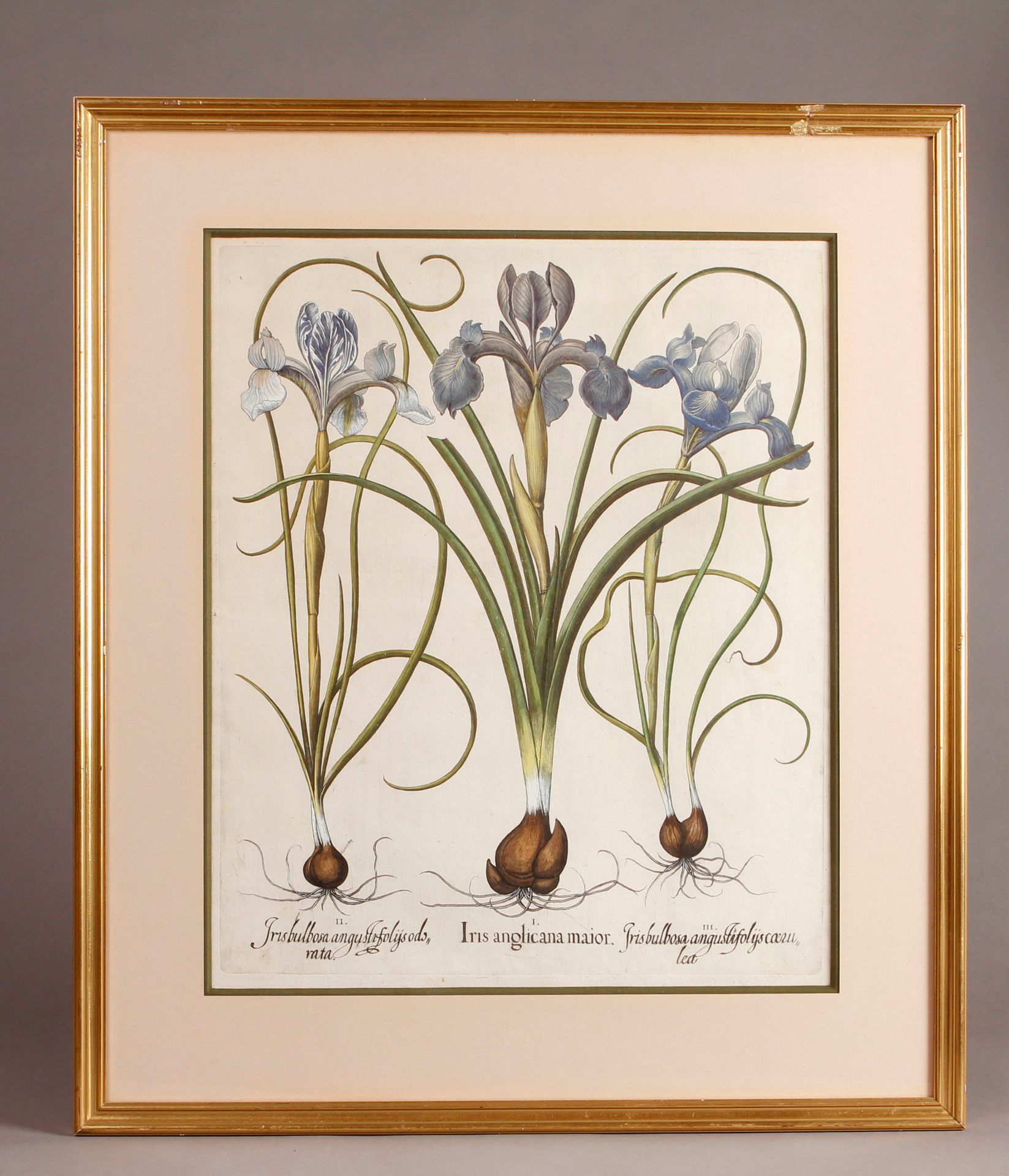 Null Farbradierung Les Iris (Die Schwertlilien). Radierung auf Papier.
48 x 40 c&hellip;