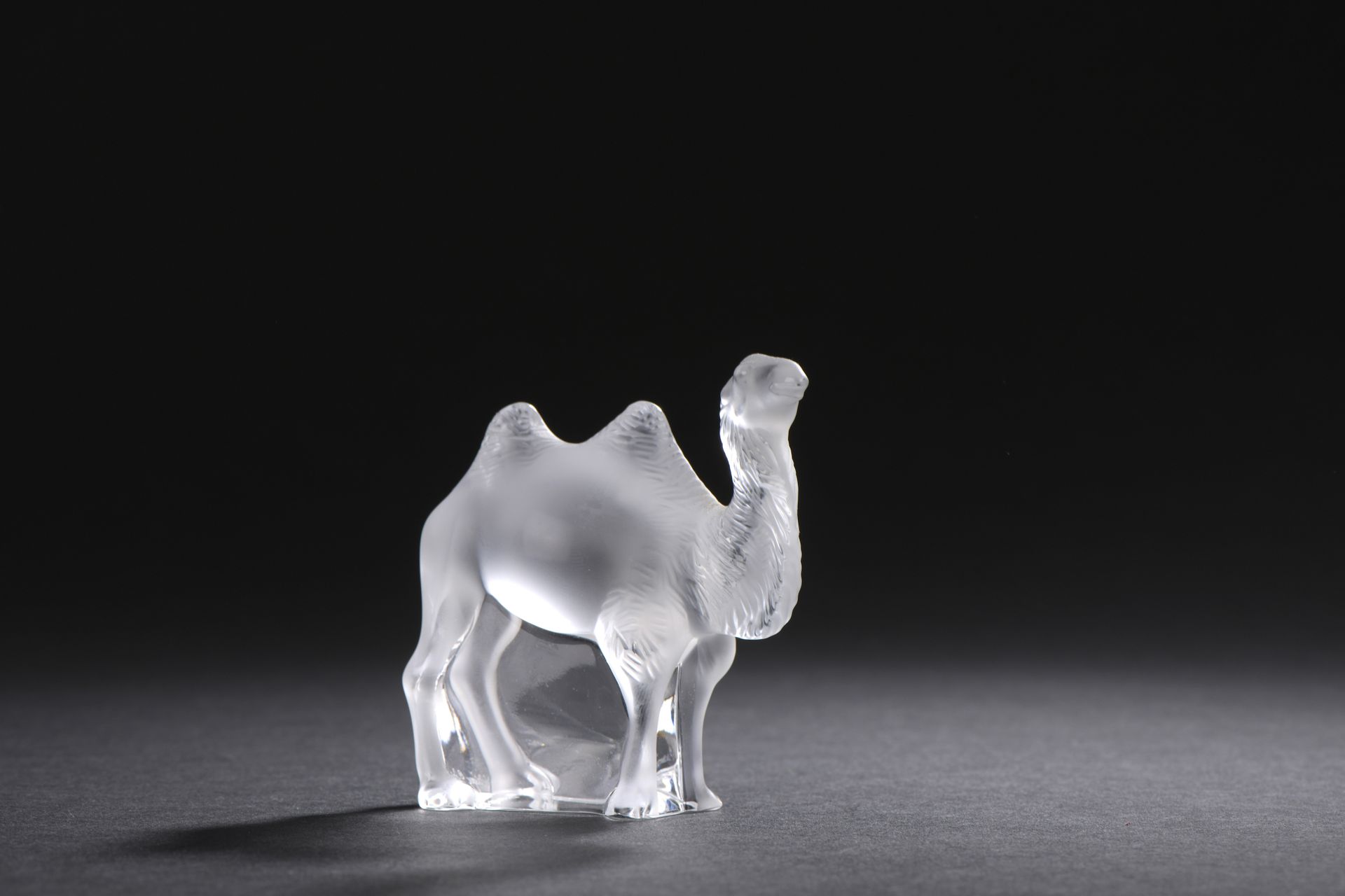 Null LALIQUE 法国

缎面水晶的 "丹吉尔驼"。

签名 "Lalique France"，编号P 972022/01/07

8厘米