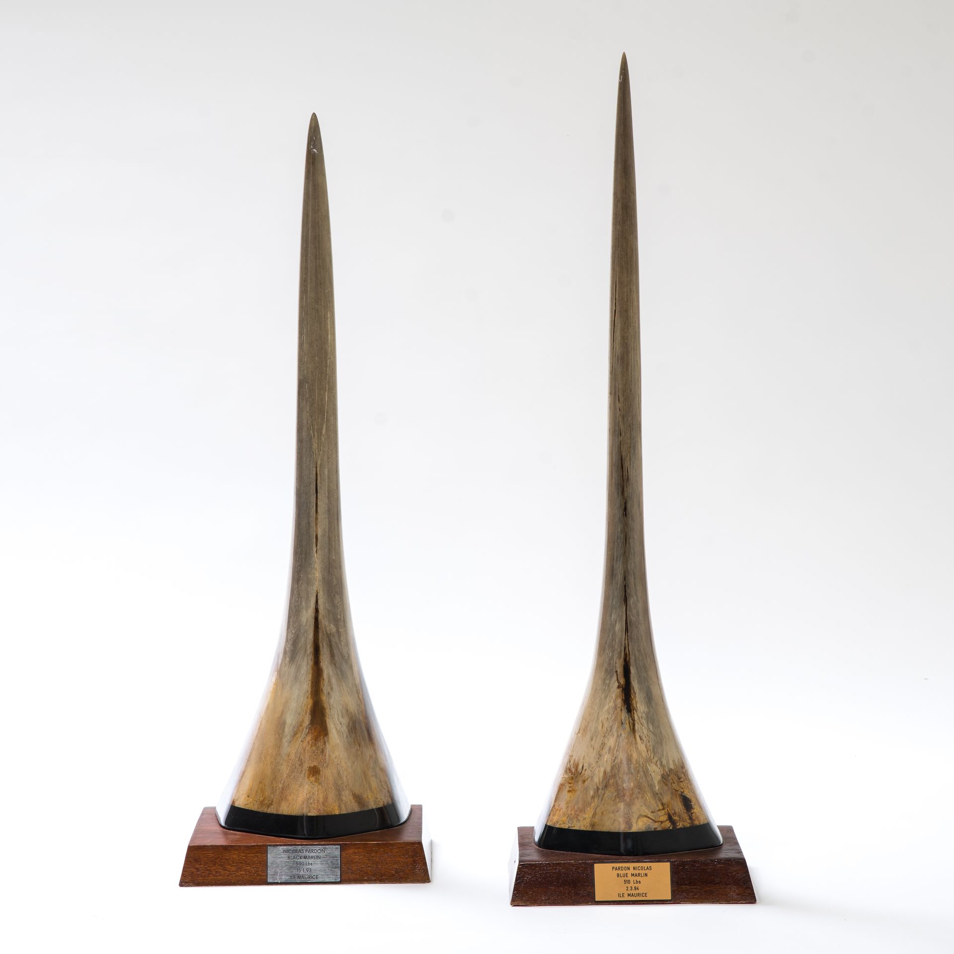 Paire de grands rostres de marlin Pair of large marlin snouts



on a base with &hellip;