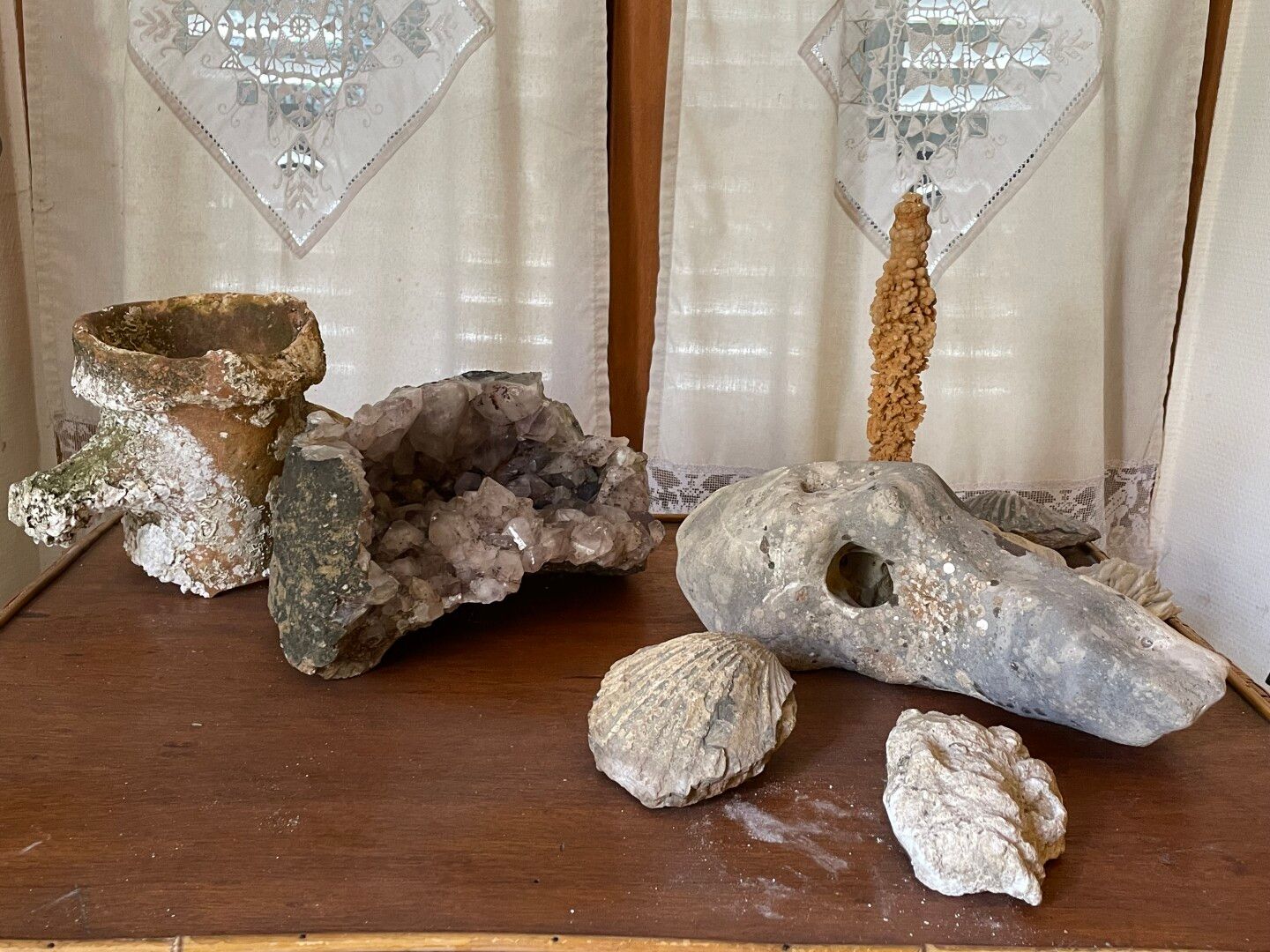 Null Four fossils, stone in the shape of an animal's head, calcite on a base and&hellip;