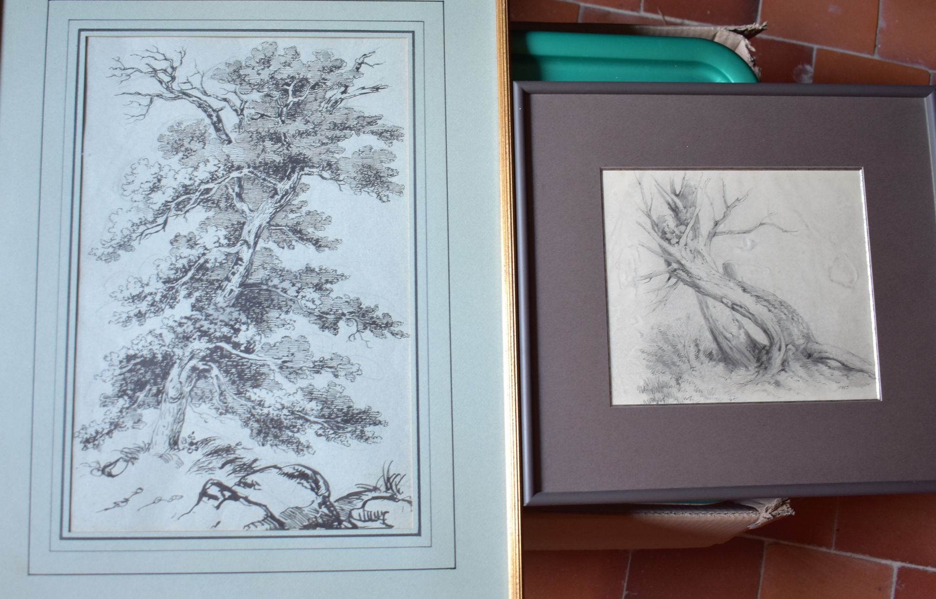 Null 19世纪法国学校：树木。两幅铅笔或黑墨水画，其中一幅是1869年的。高度18 - 宽度21厘米 - 高度38 - 宽度25厘米