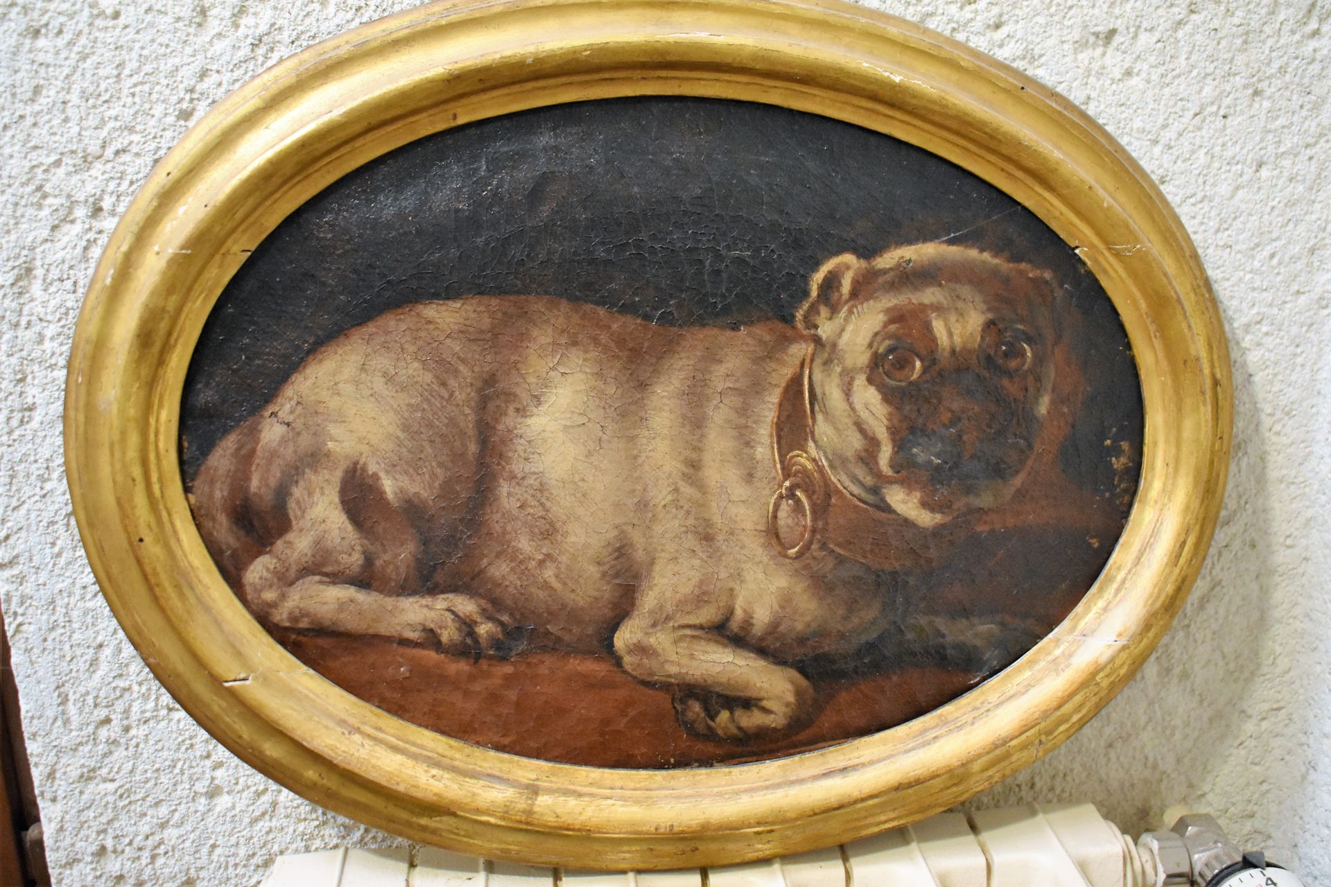 Null 19世纪法国学校：躺着的哈巴狗。椭圆形画布上的油画。高度28 - 宽度40厘米