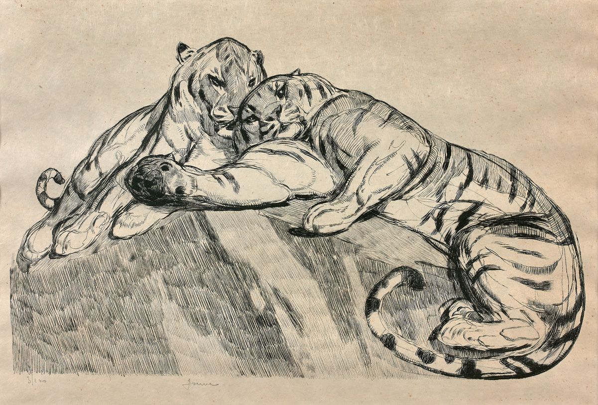 JOUVE Paul JOUVE (1878-1973)

两只老虎在休息，创作于1931年

日本纸上的原始蚀刻画。中心下方有签名，左下角有公正的3/100。&hellip;