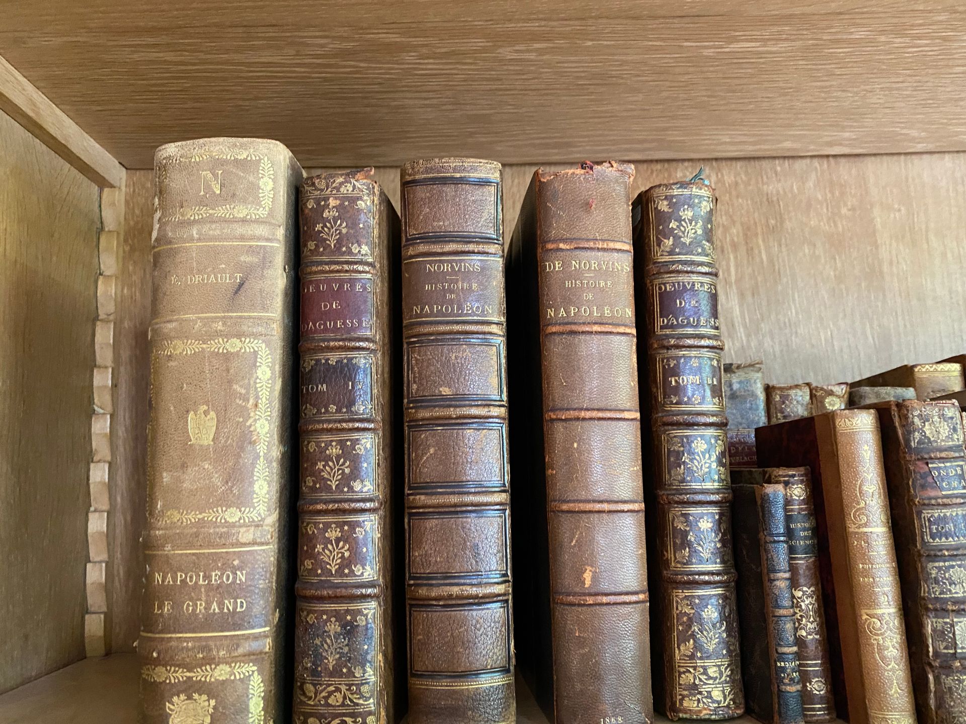 Null 一批书籍，主要是古董装订：Norvins (Histoire de Napoléon), Daguesseau (Œuvres), Voltaire和&hellip;