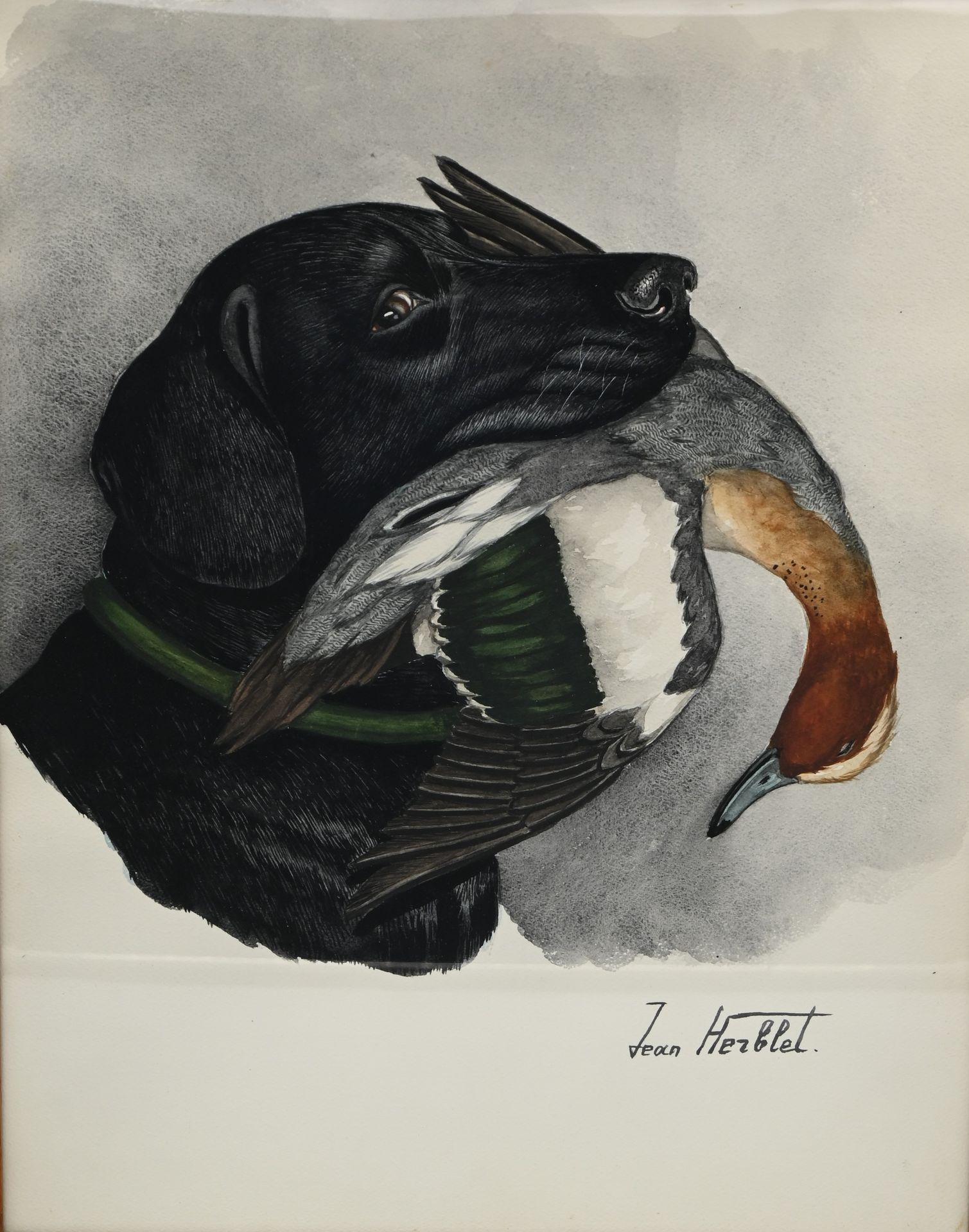 Null 让-赫伯勒（1893-1985）。拉布拉多与鸭子。水彩画，右下方有签名。高度46 - 宽度36厘米