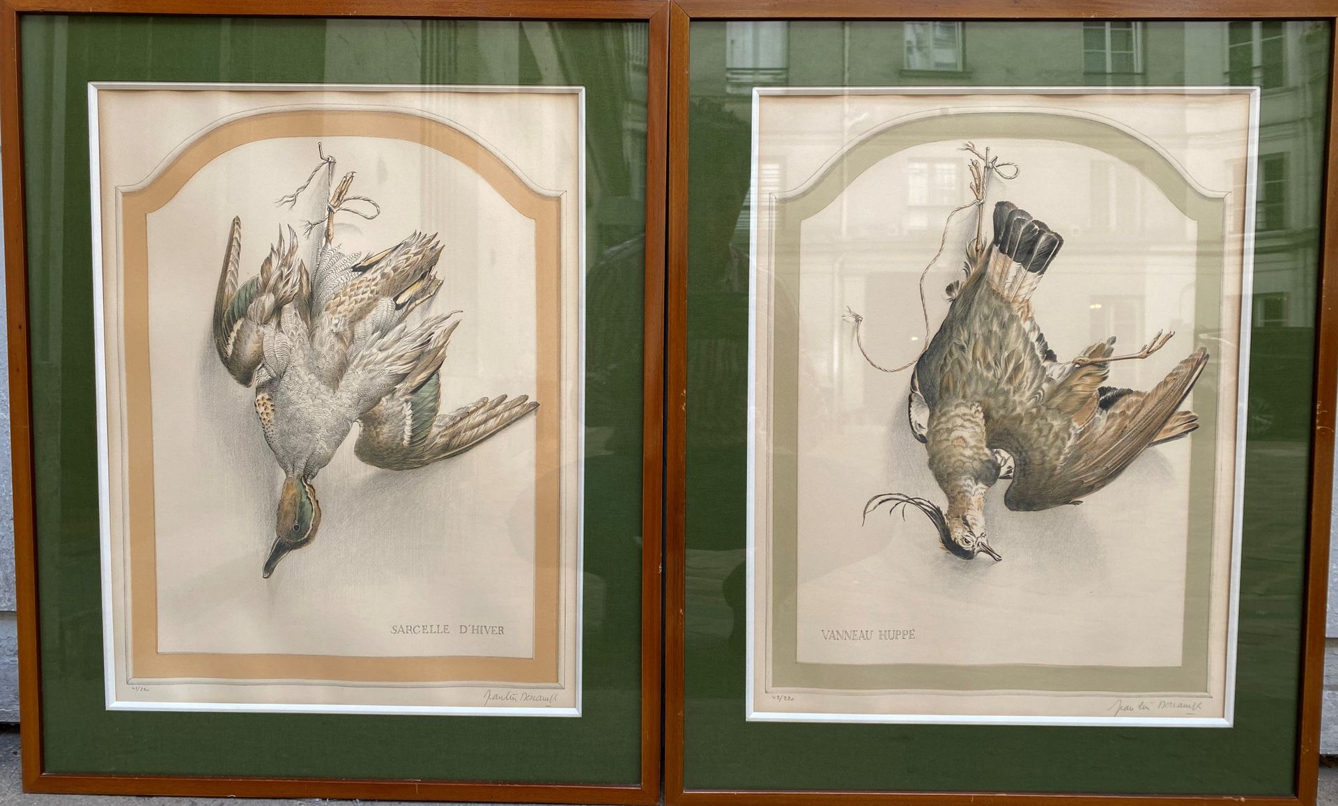 Null 两幅彩色石印画：绿翅茶隼--凤头鹦鹉。铅笔签名，注明42/220和45/220，高50厘米-宽37.5厘米