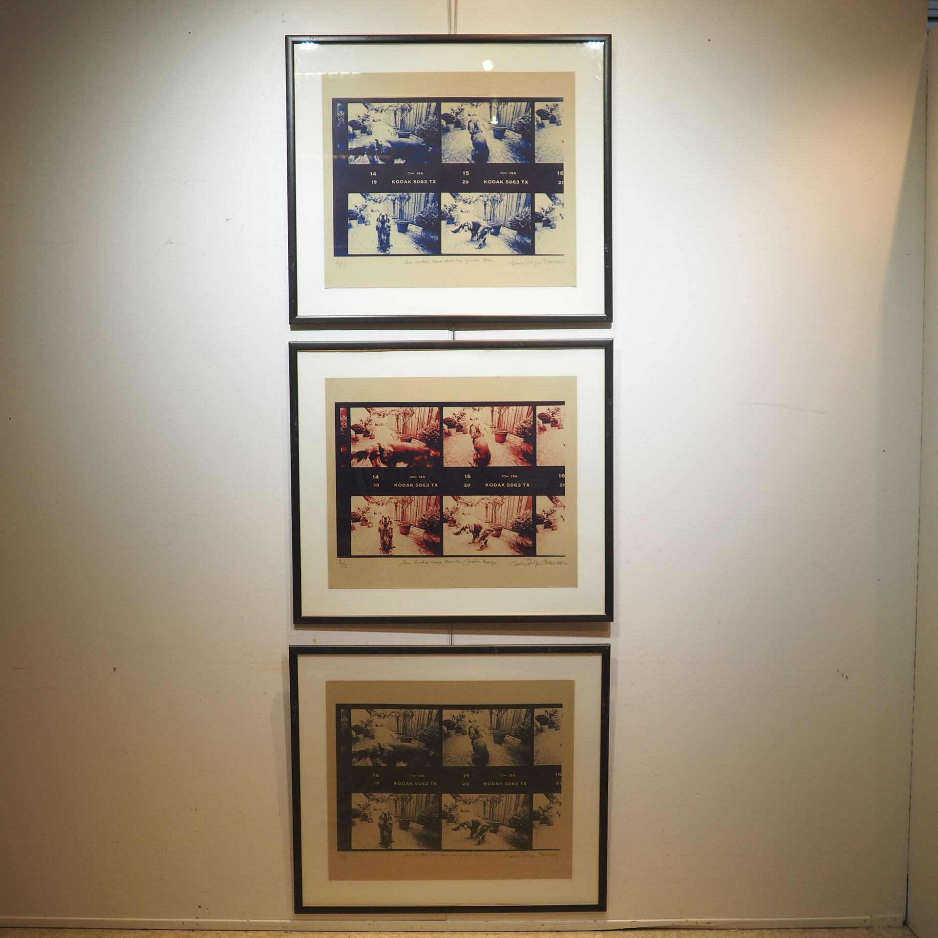 Breydel Breydel: Set of 3 color prints, signed lower right, numbered 2/3, framed&hellip;