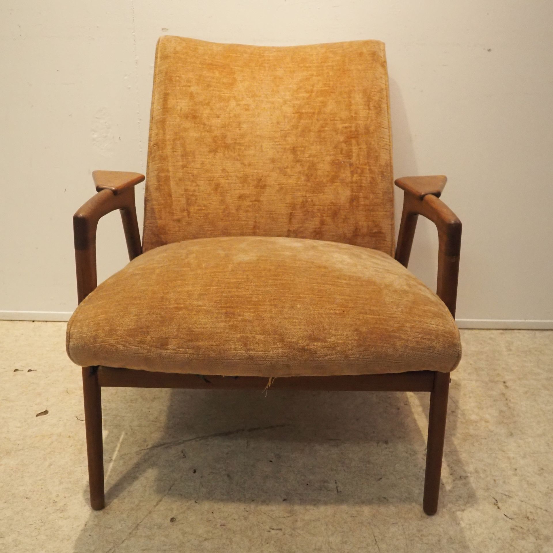 Ekstrom Inge / Pastoe Ekstrom Inge / Pastoe : 扶手椅，约1950年，裸露的实心柚木框架，木质座椅和靠背，天鹅绒软垫&hellip;