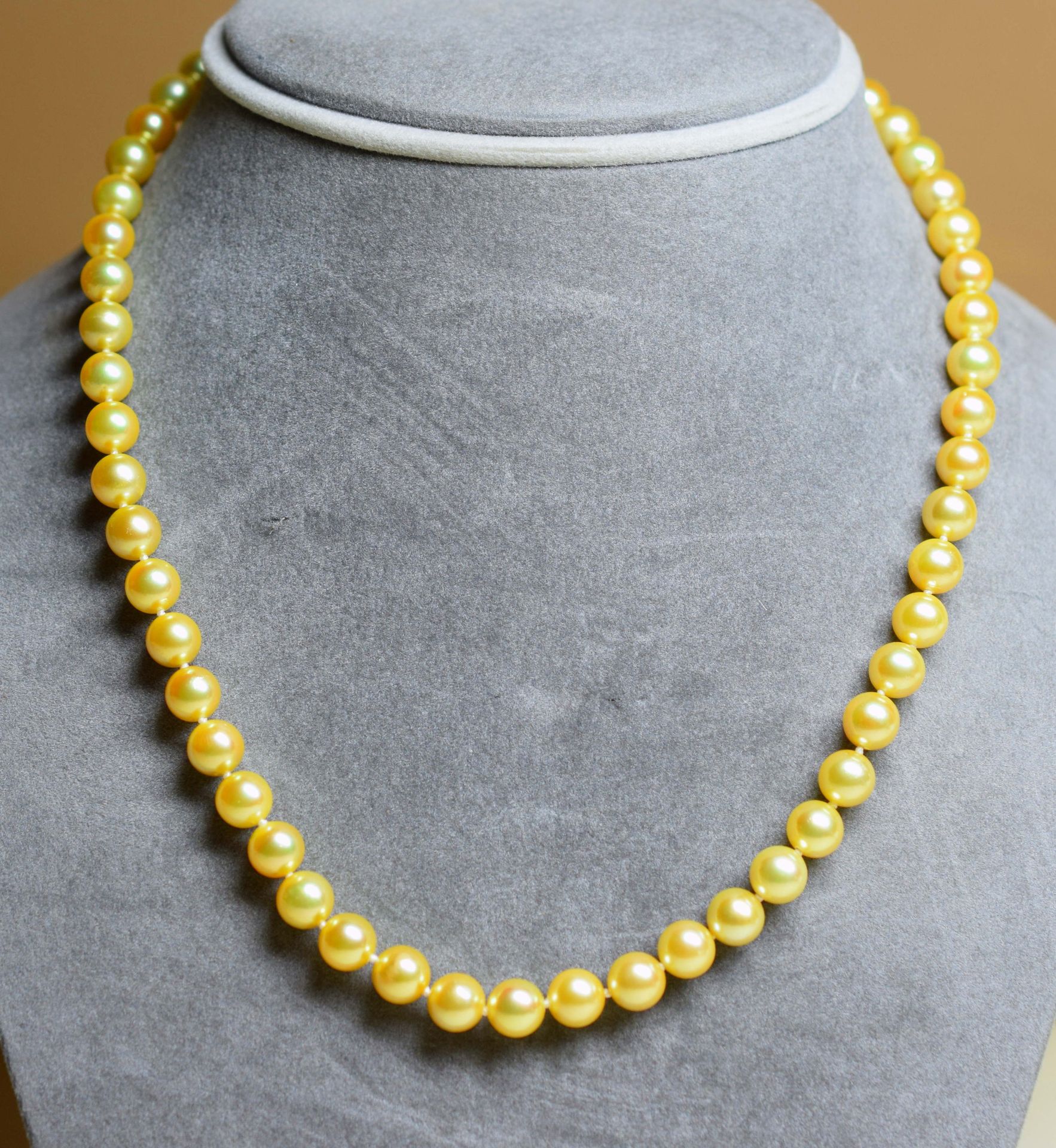 Null Très rare collier de perles couleur GOLD AKOYA (D: 7-7,5 mm) Couleur except&hellip;