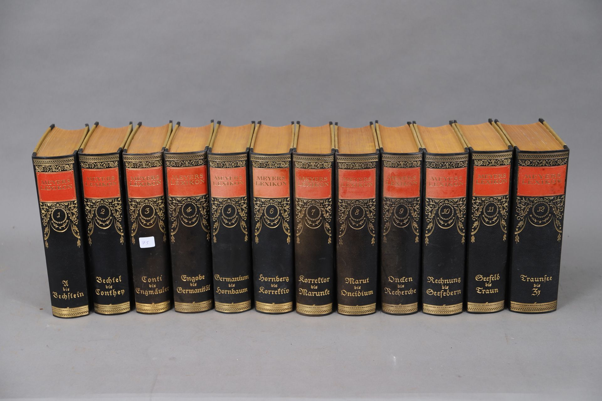 Null MEYERS LEXICON. 

Leipzig 1924

12 volumes with decorative bindings.