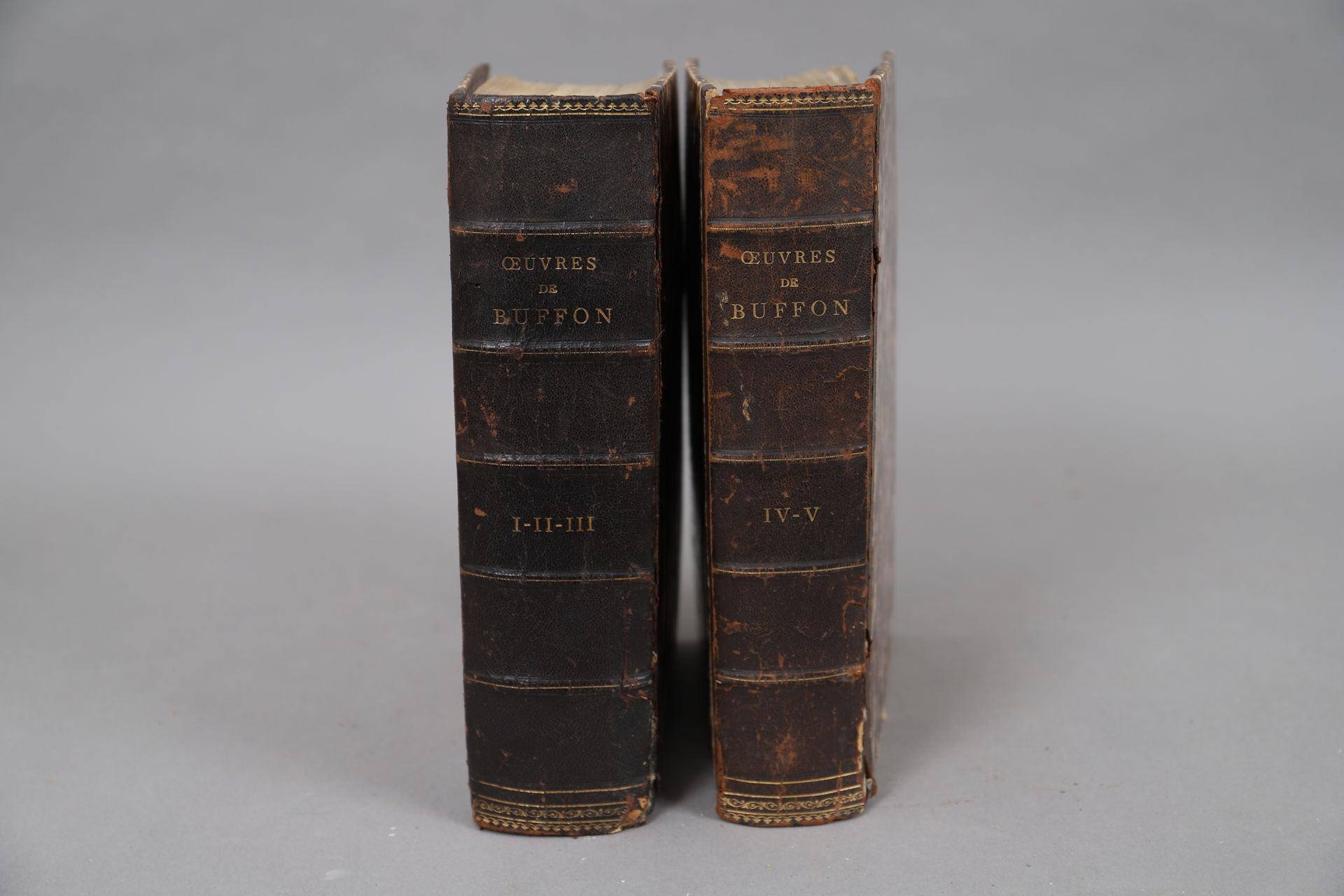 Null ŒUVRES de BUFFON

5 tomes reliés en deux volumes.
