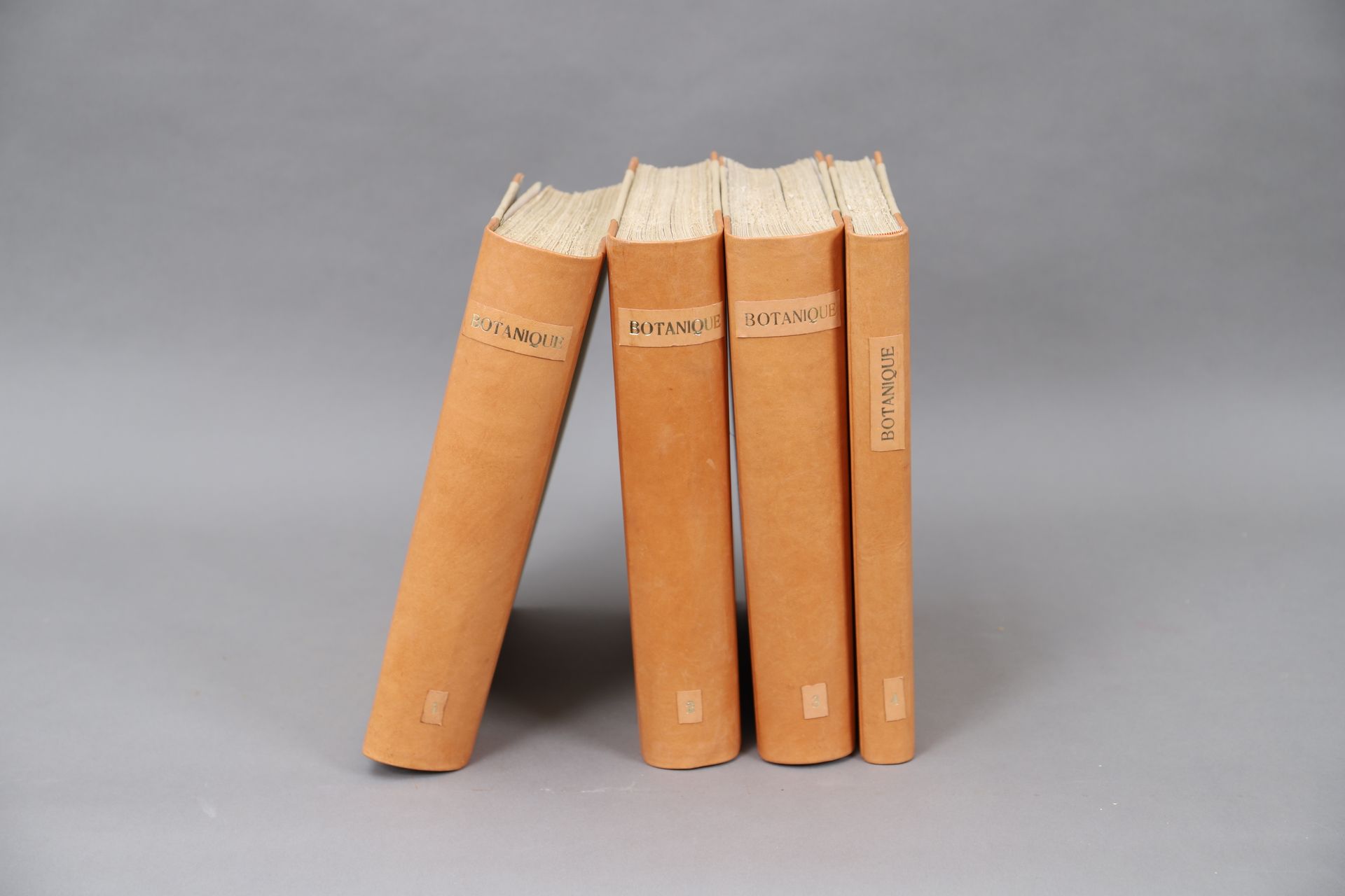 Null H. BAILLON著的《植物学词典》(DICTIONARY OF BOTANICS)

巴黎Hachette 1876年

4卷。