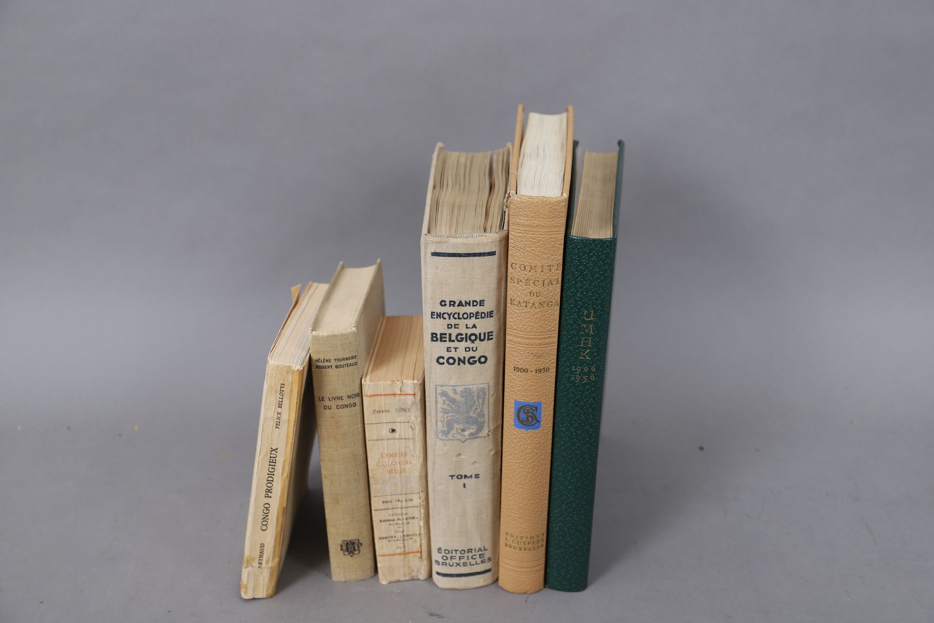 Null EL CONGO 

LOTE de 6 volúmenes encuadernados

Siglo XX