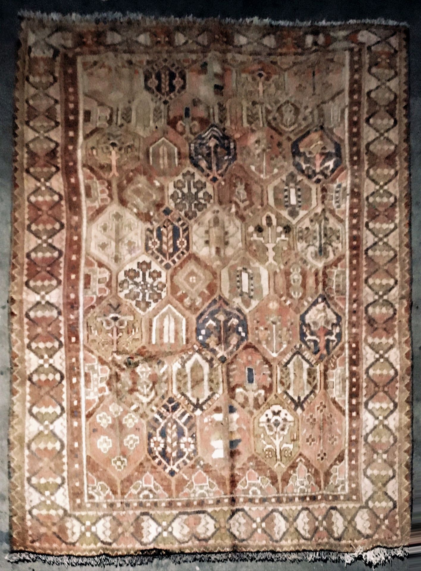 Null Bakhtiar（波斯）地毯，伊朗中西部，棉质纬线和经线，羊毛绒，米色背景，花箱图案，平衡边饰有钻石图案，约1970年。尺寸：2.98 X 2.04米
