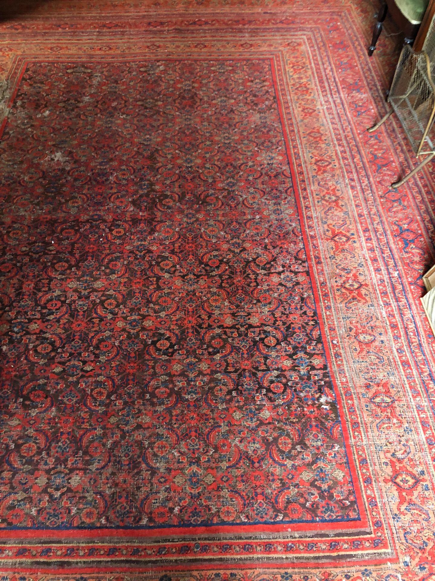 Null AGRA，19世纪末。重要的地毯上有花枝和树叶（herati图案）。391 x 296 厘米