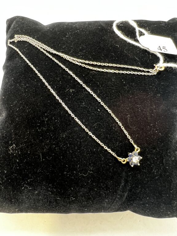 Null 白金项链，在一圈蓝色宝石中，有一个以钻石为中心的花朵吊坠。

毛重：2.8克