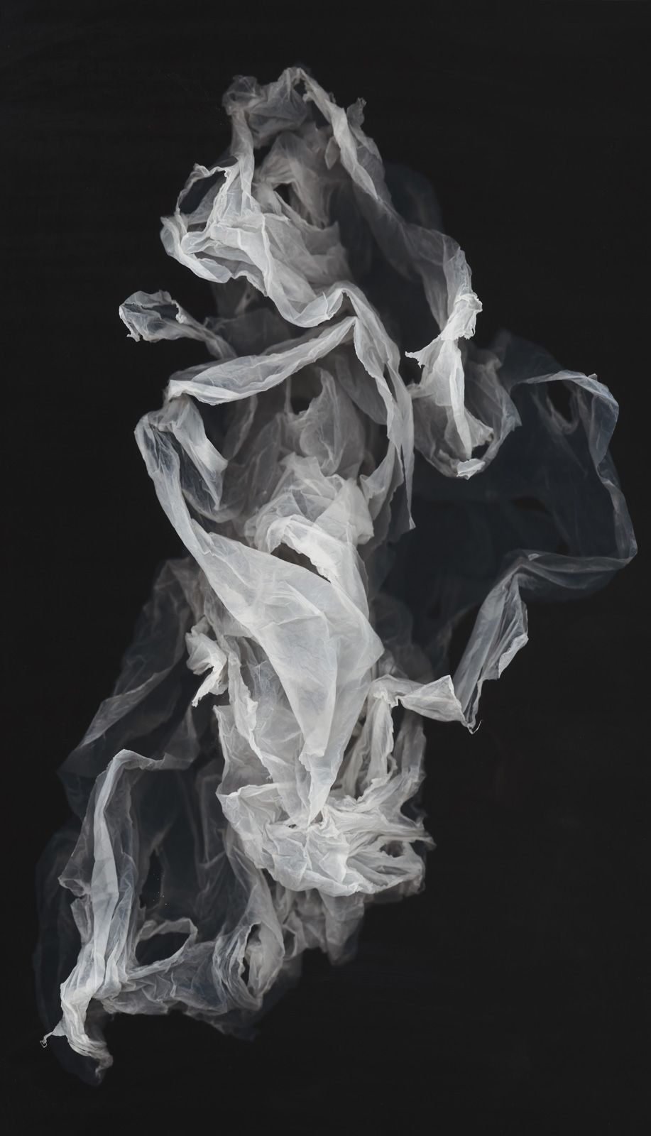 HUANG XU (1968) Pensée éphémère N°10 
Papier de riz, impression 2007
100 x 57 cm