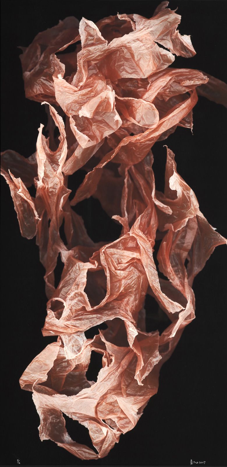 HUANG XU (1968) Ephemeral Thought N°9
宣纸，右下角有签名，2007年印刷
100 x 50 cm