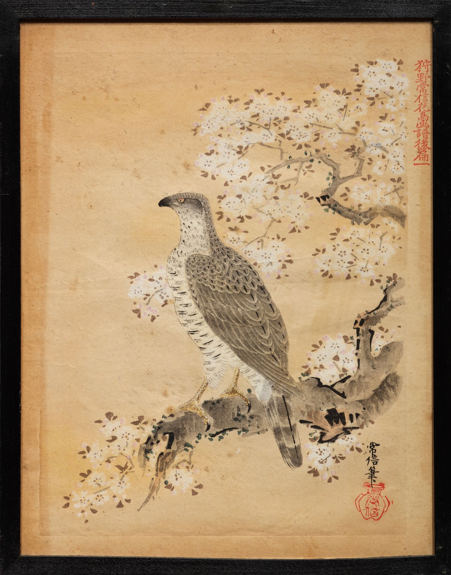 JAPON - Epoque MEIJI (1868 - 1912) 这套版画是在Tsunenobu之后创作的，共14幅，表现了鸟和花。(Insolate)。
&hellip;