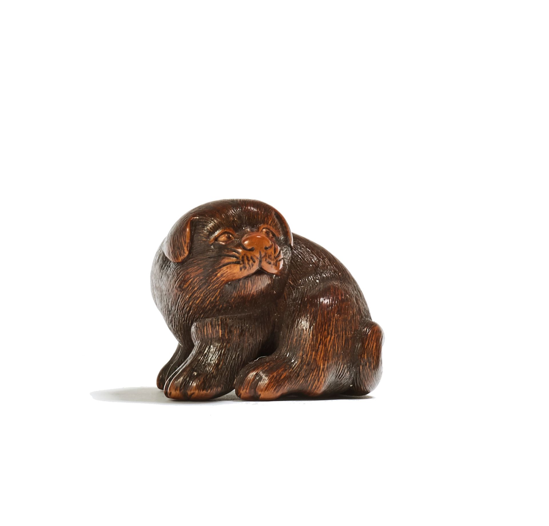 JAPON - XIXE SIÈCLE 木制网签，小狗有松软的耳朵，坐着向左看，它的外衣被细细地凿开，眼睛镶嵌着棕色的角。
，签名是Masamichi。
，高2&hellip;