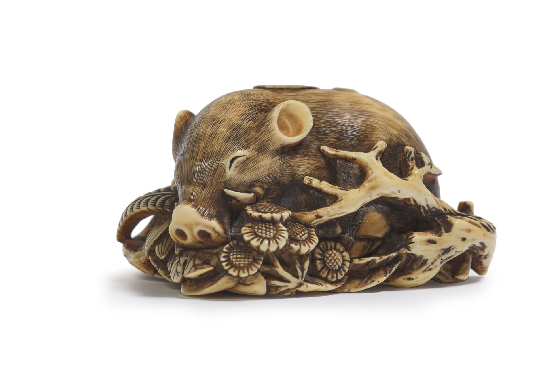 JAPON - XXe siècle * Ivory netsuke, boar bauged among maple leaves, grasses and &hellip;