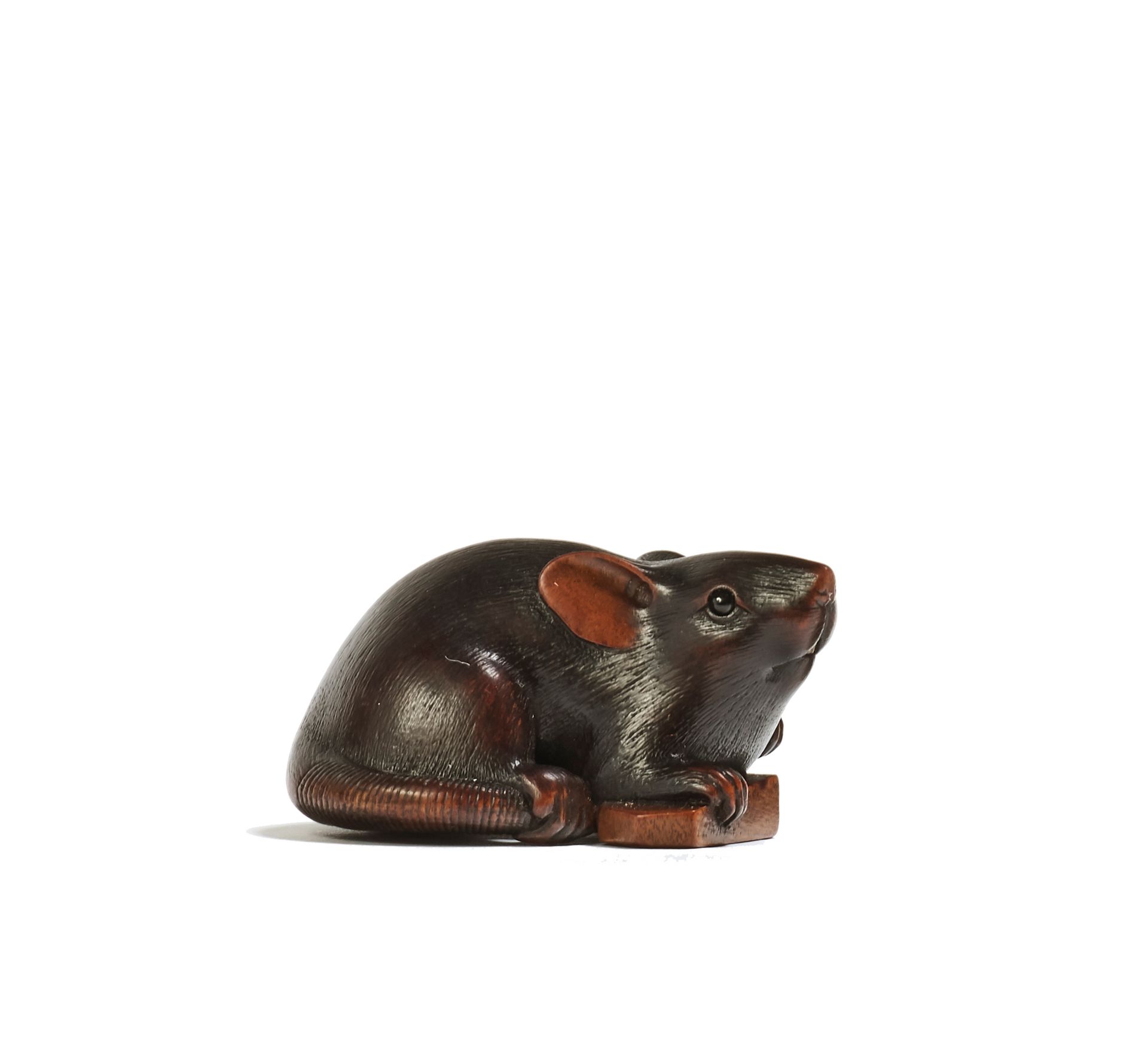 JAPON - Début XIXe siècle 木制网签，老鼠举起一只爪子，另一只爪子放在一块龙马象棋上，抬起鼻子，尾巴蜷缩在下面。眼睛镶嵌着棕色的角，牙齿&hellip;
