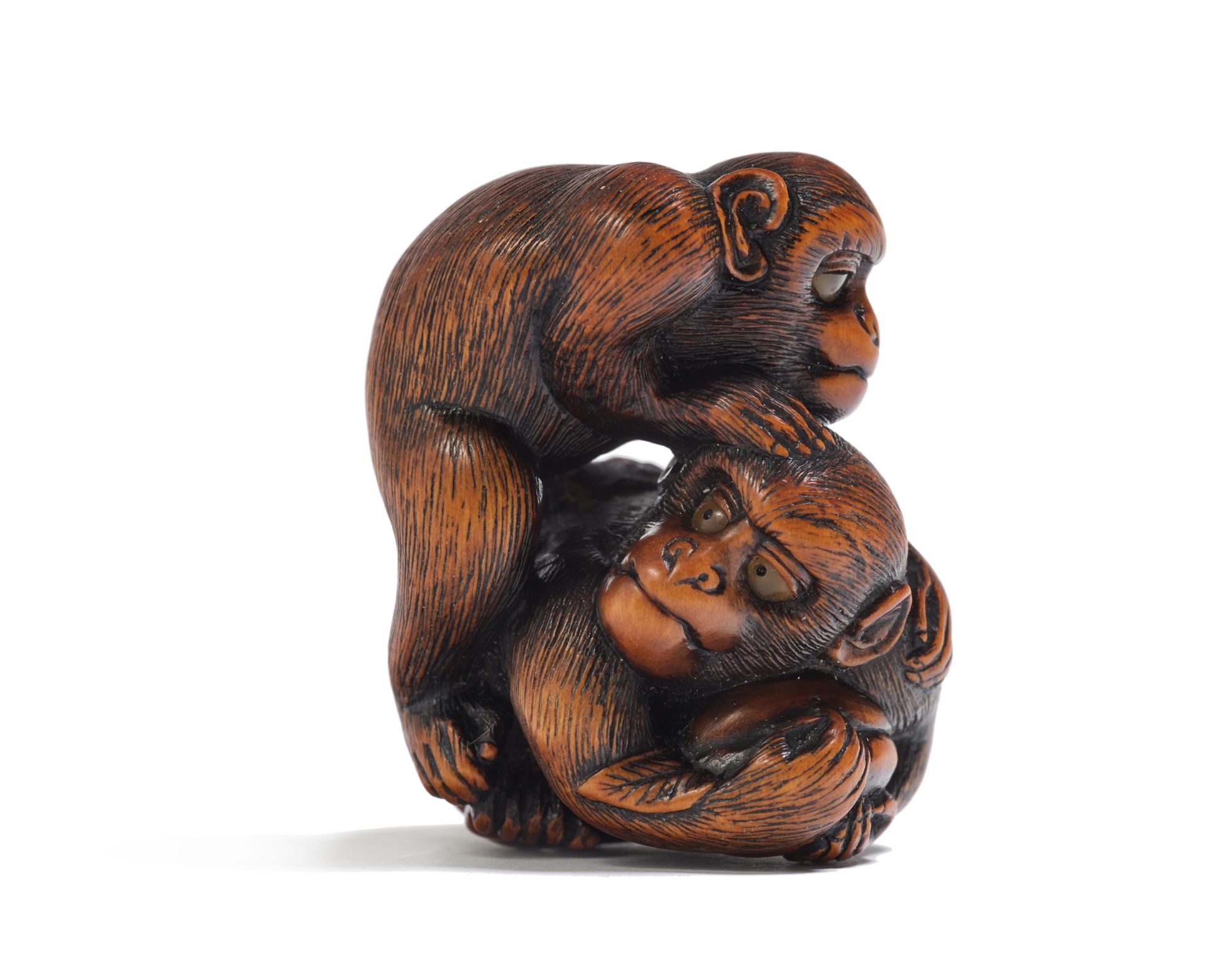 JAPON - XIXE SIÈCLE Netsuke en bois, deux singes, leurs poils finement ciselés, &hellip;