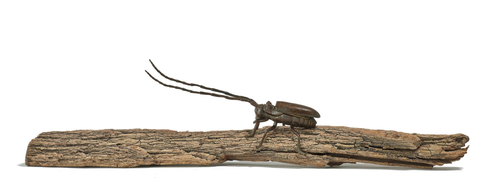 JAPON - XXe siècle Okimono articulé en bronze à patine brune figurant un scarabé&hellip;