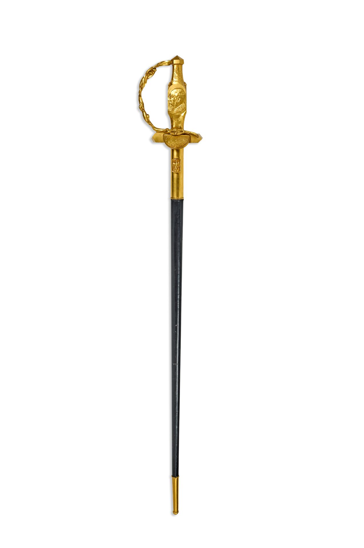 Académie des sciences 
Sword of Léon BERTRAND (Arville, 1869 - Paris, 1947), mem&hellip;