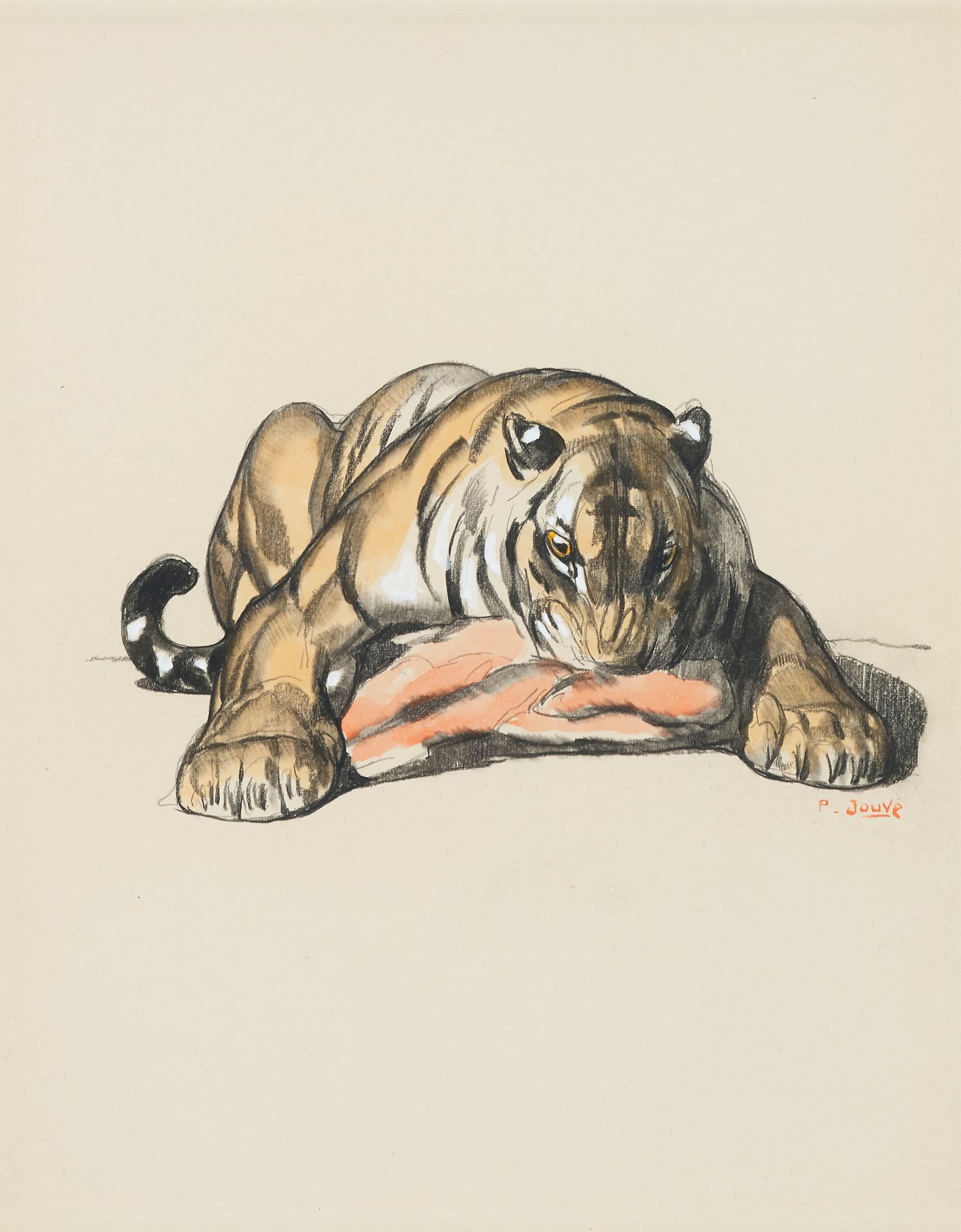 Paul JOUVE (1878-1973) 猎物上的老虎
油性铅笔、水彩和水粉，日本帝国纸
右下角签名 31.5 x 25 cm (展出)
Macassar &hellip;
