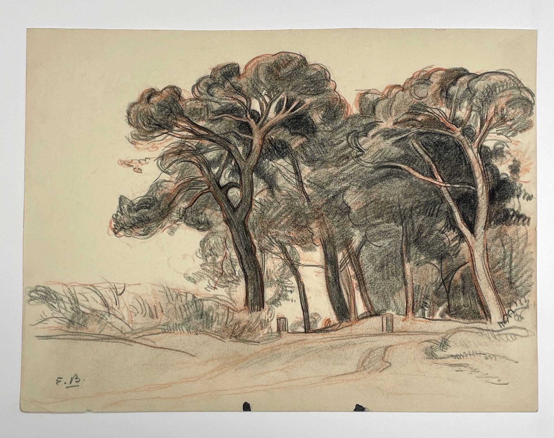 Null "松树" - 埃米尔-玛丽-博梅

纸上炭笔和红粉笔画，左下角有签名。

尺寸：20 x 26,8厘米。