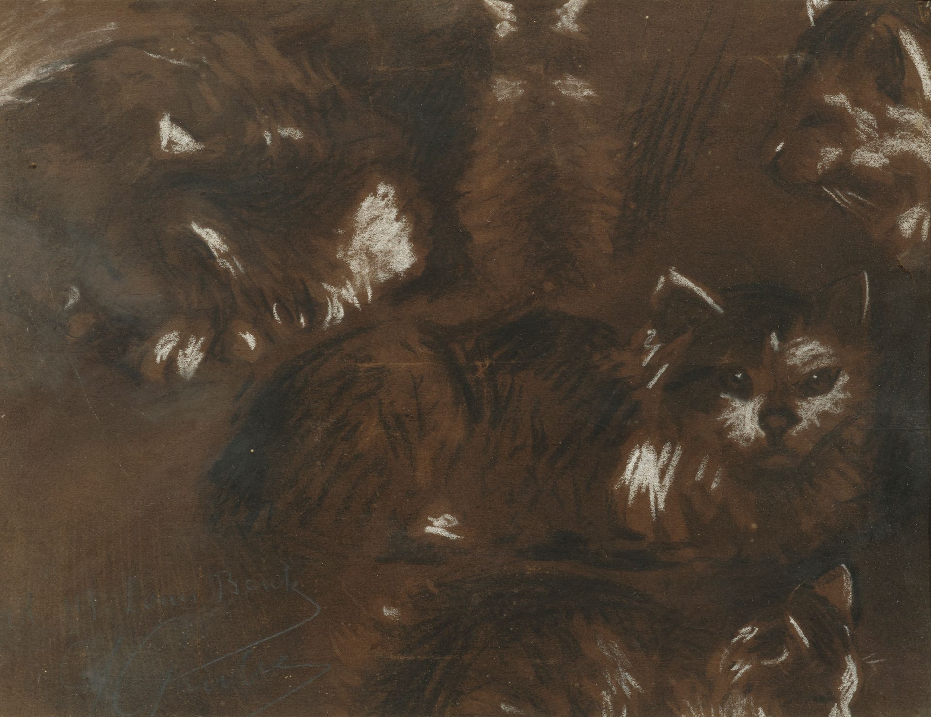 Jacques GRUBER (1870-1936) 猫
纸上混合媒介
左下方有签名和献词
23 x 29 厘米

出处：格鲁伯家族