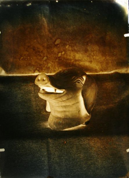 CHINE - XIXe siècle 
Plaque de négatif au collodion humide représentant la tête &hellip;