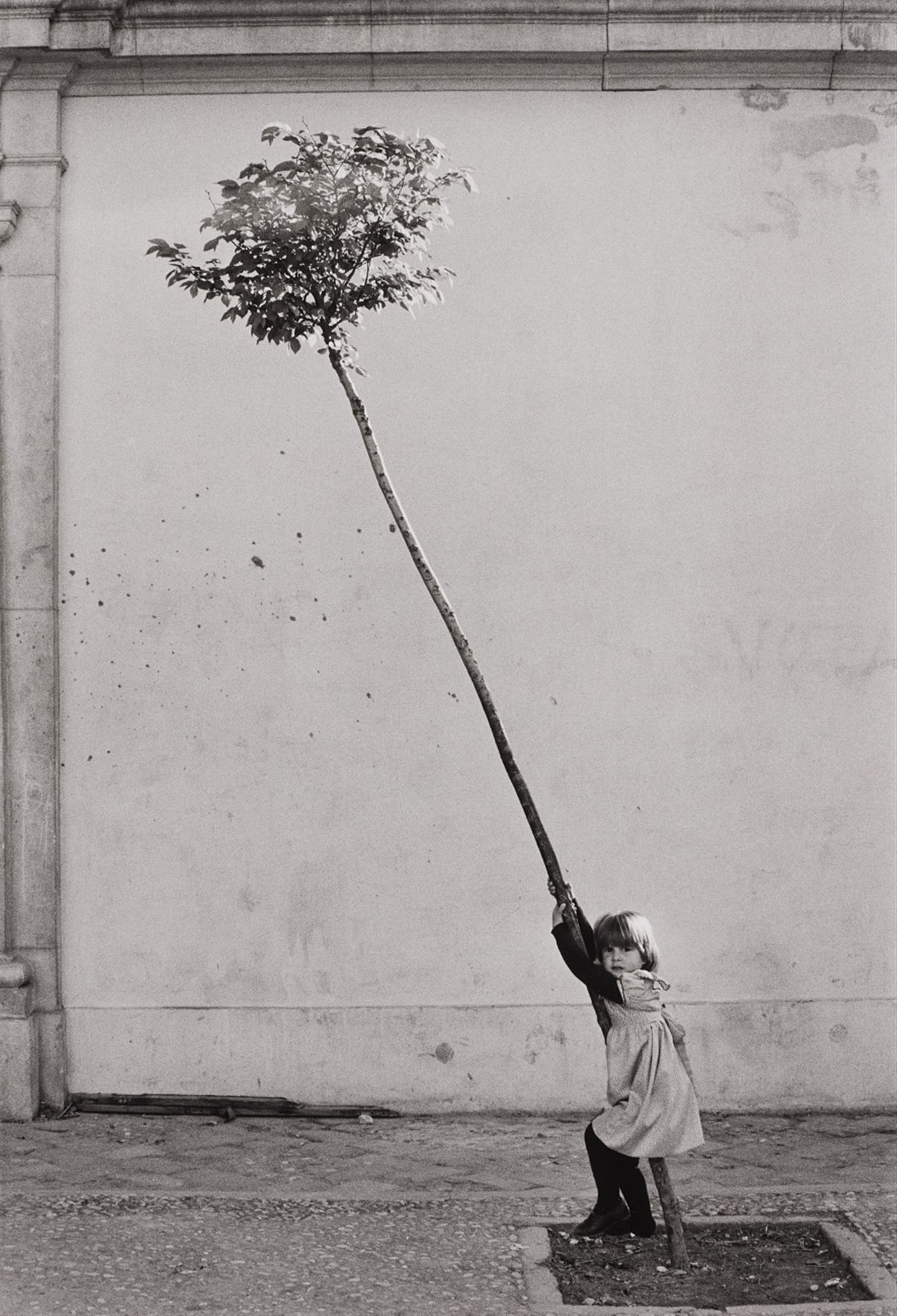 Sabine Weiss Sabine Weiss



Piccola ragazza, piccolo albero, Spagna

1981



St&hellip;