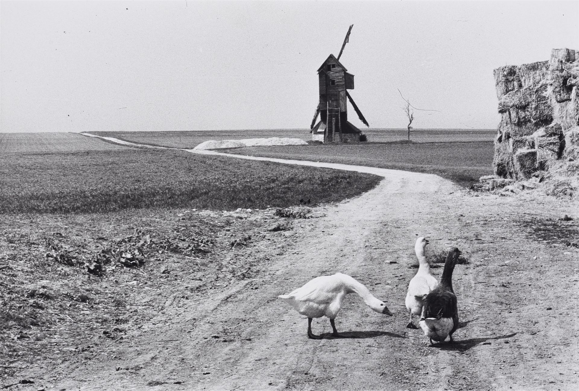 Henri Cartier-Bresson Henri Cartier-Bresson





Beauce, France


1960





Gela&hellip;