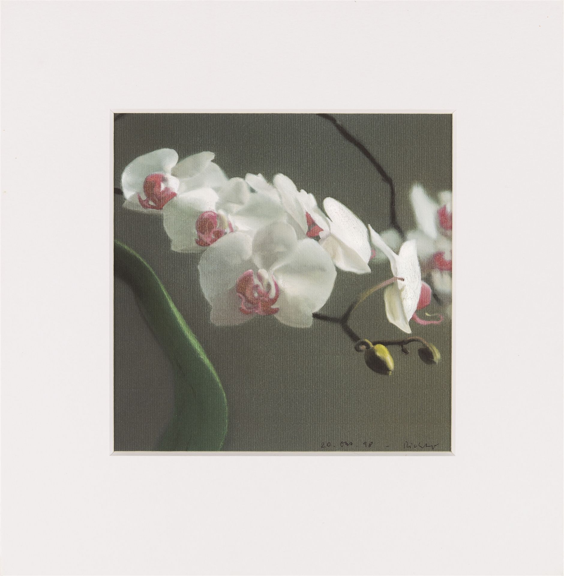 Gerhard Richter Gerhard Richter





Orchidee V


1998





Offset print on card&hellip;
