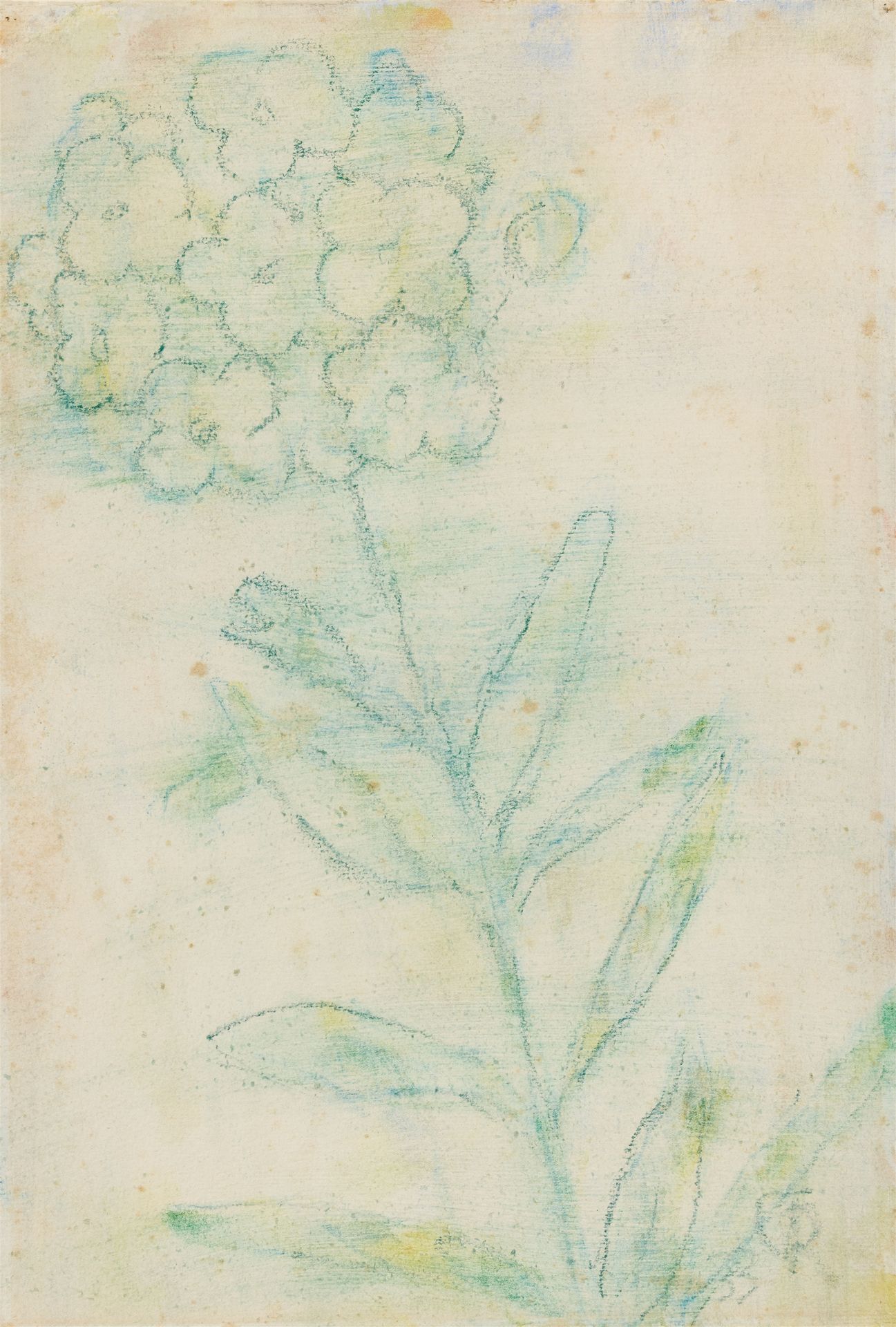 Christian Rohlfs Christian Rohlfs







小花伞状花序



1933







粉笔和水彩画在水彩手工纸上，有水印&hellip;