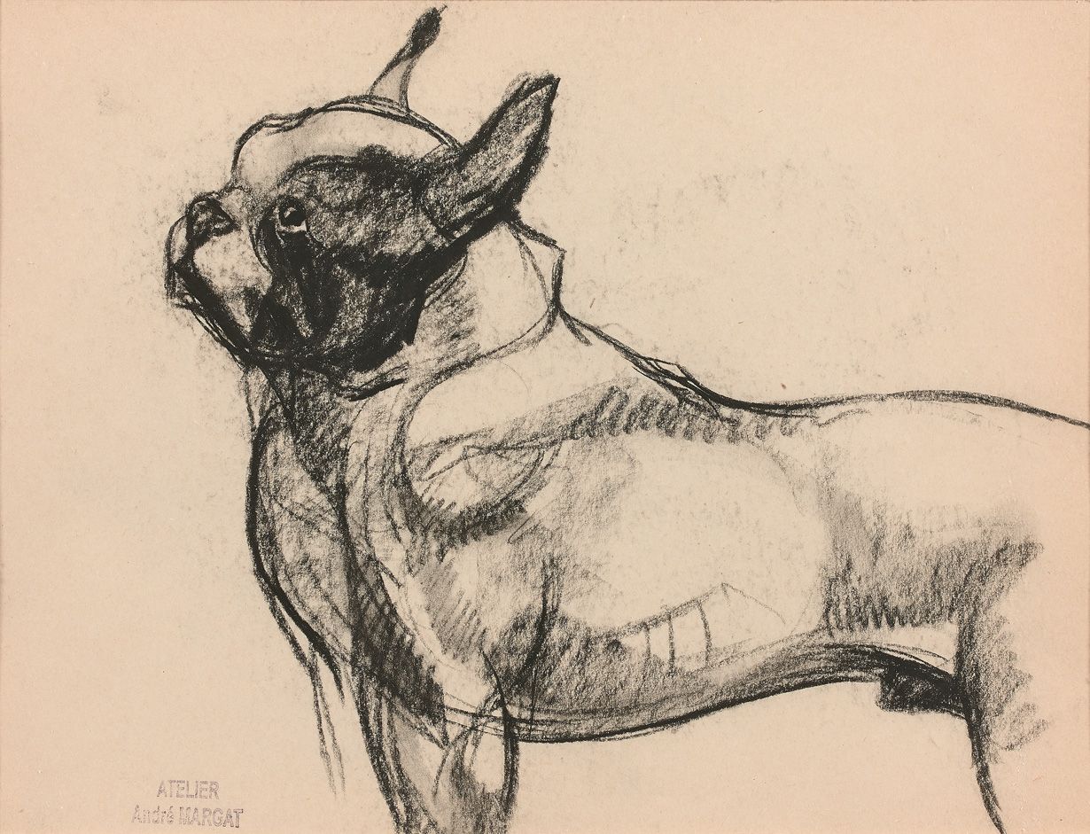 Null 安德烈-玛格丽特(1903-1999)

科莱特的法国斗牛犬

纸上炭笔画。

工作室邮票 安德烈-马尔加特

左下角。

18,8 x 25 cm。&hellip;