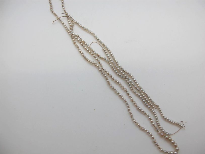 Null Collier de petites perles de semence (accidenté)
Poids brut: 3,6g